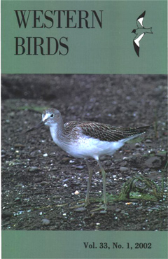 Cover image V33 (1)