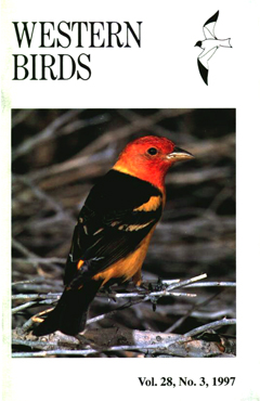 Cover image V28 (3)