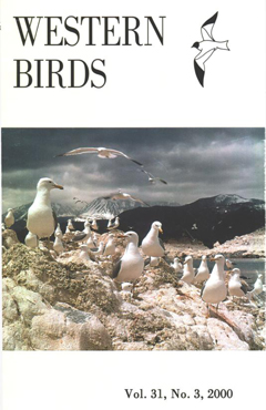 Cover image V31 (3)