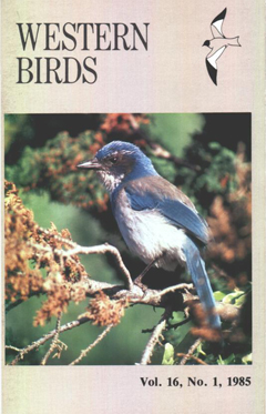 Cover image V16 (1)