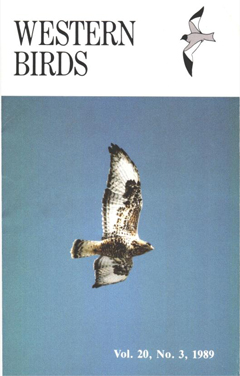 Cover image V20(3)