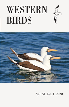 Cover image V51(1)