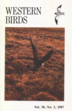 Cover image V18 (3)